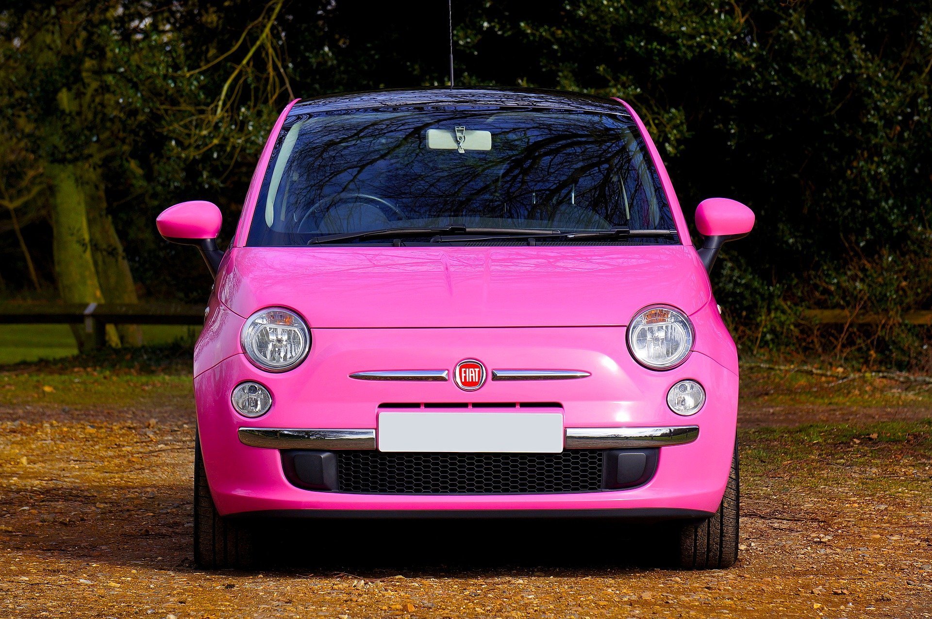 Fiat Car